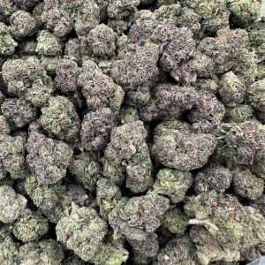 GARY PAYTON-FLOWER THCA