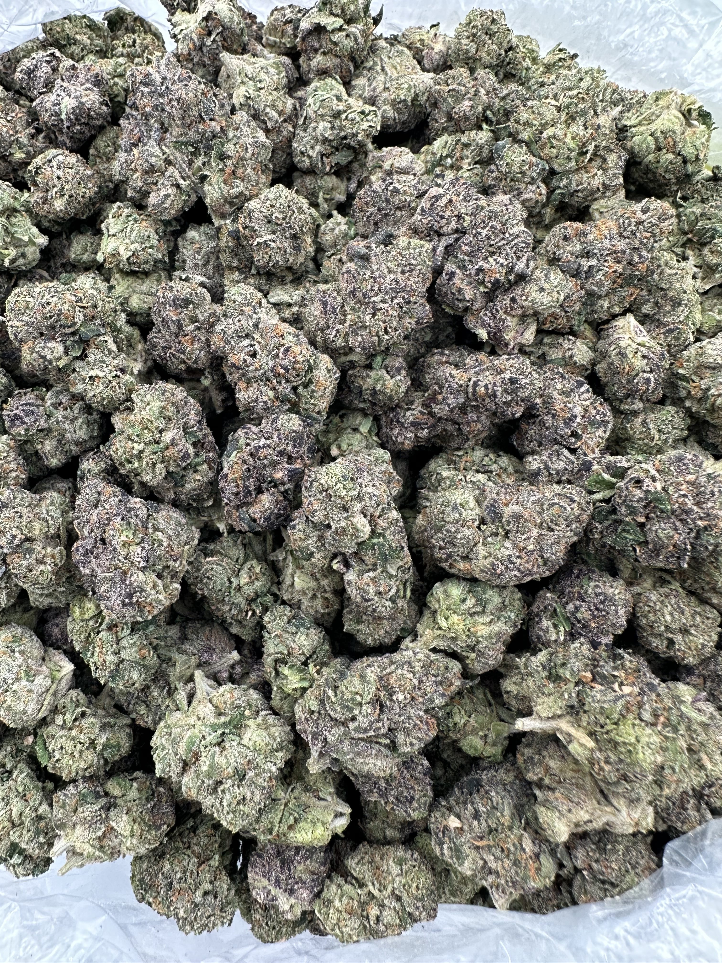 GARY PAYTON-FLOWER THCA