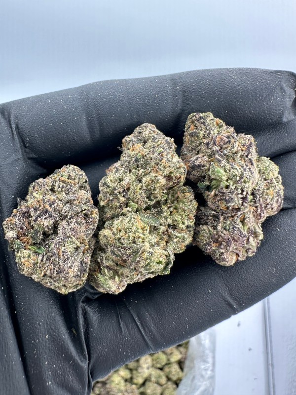 GARY PAYTON-THCA FLOWER