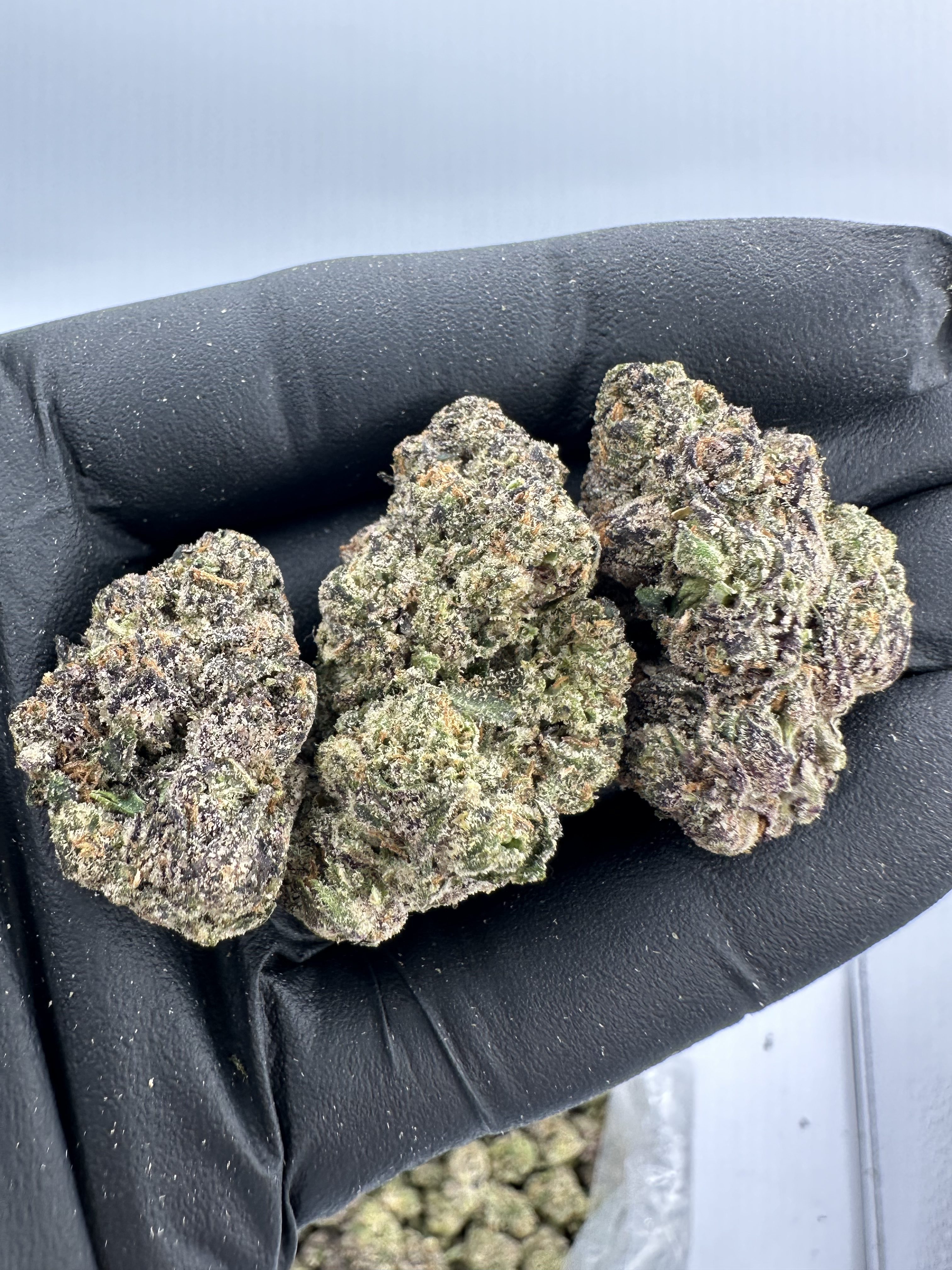 GARY PAYTON-THCA FLOWER