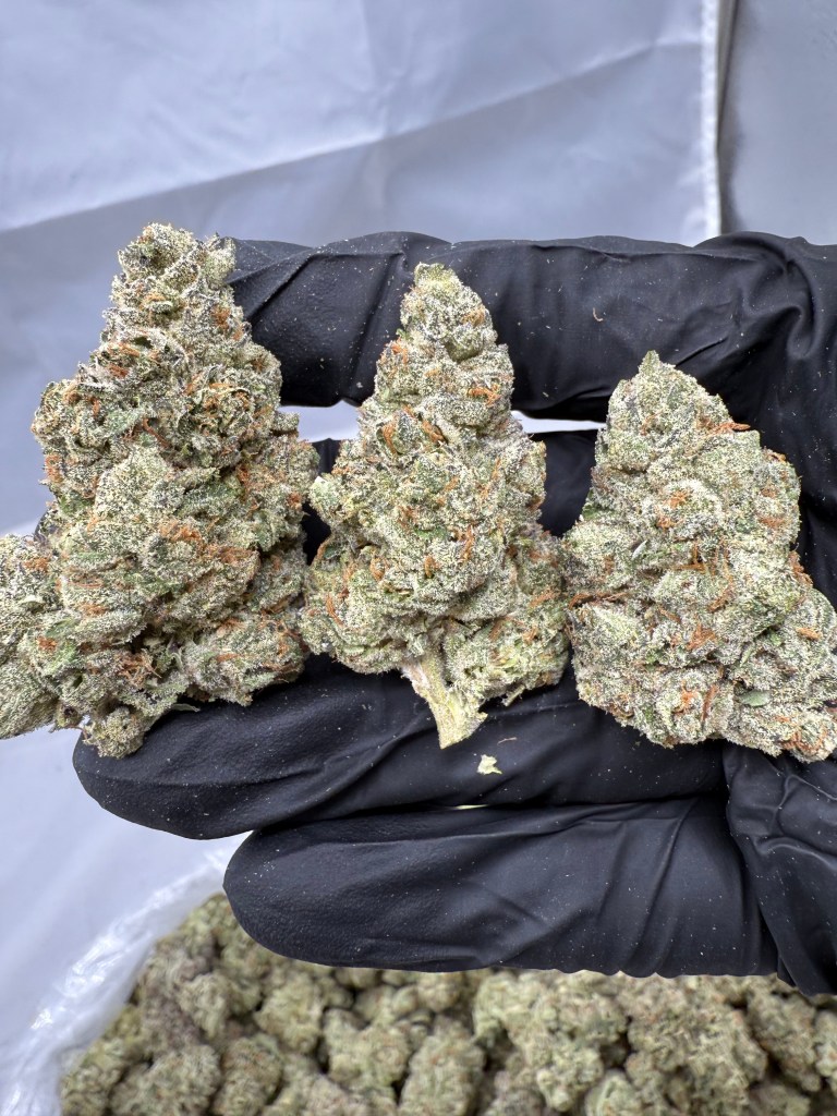 PINEAPPLE EXPRESS - INDOOR