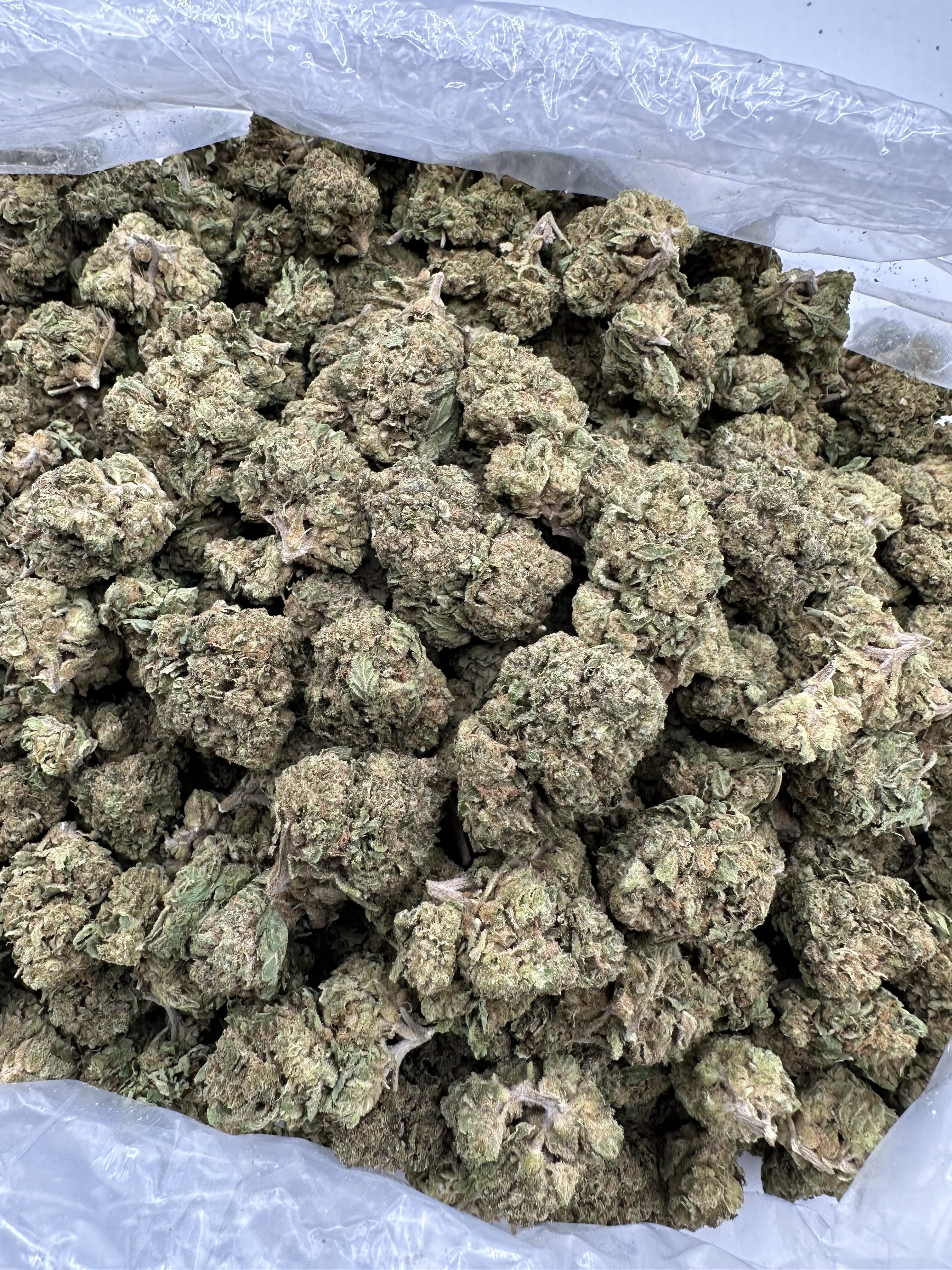 JOKERZ CANDY THCA FLOWER