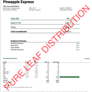 PINEAPPLE EXPRESS - INDOOR - Image 3