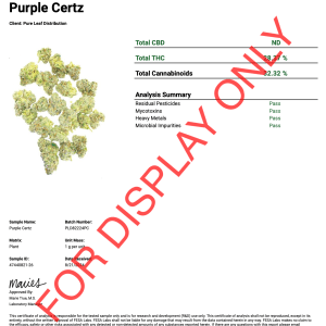 PURPLE CERTZ - COA