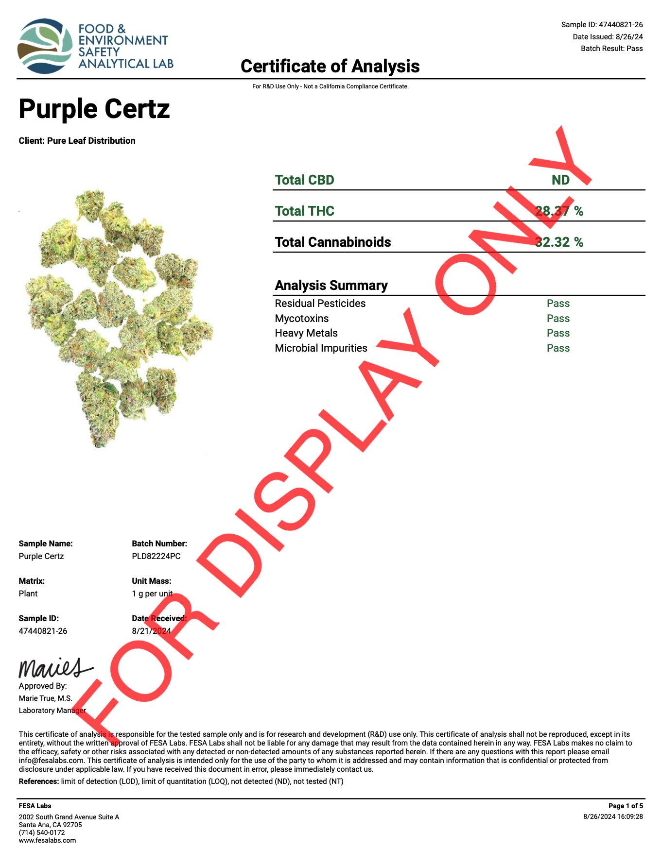 PURPLE CERTZ - COA