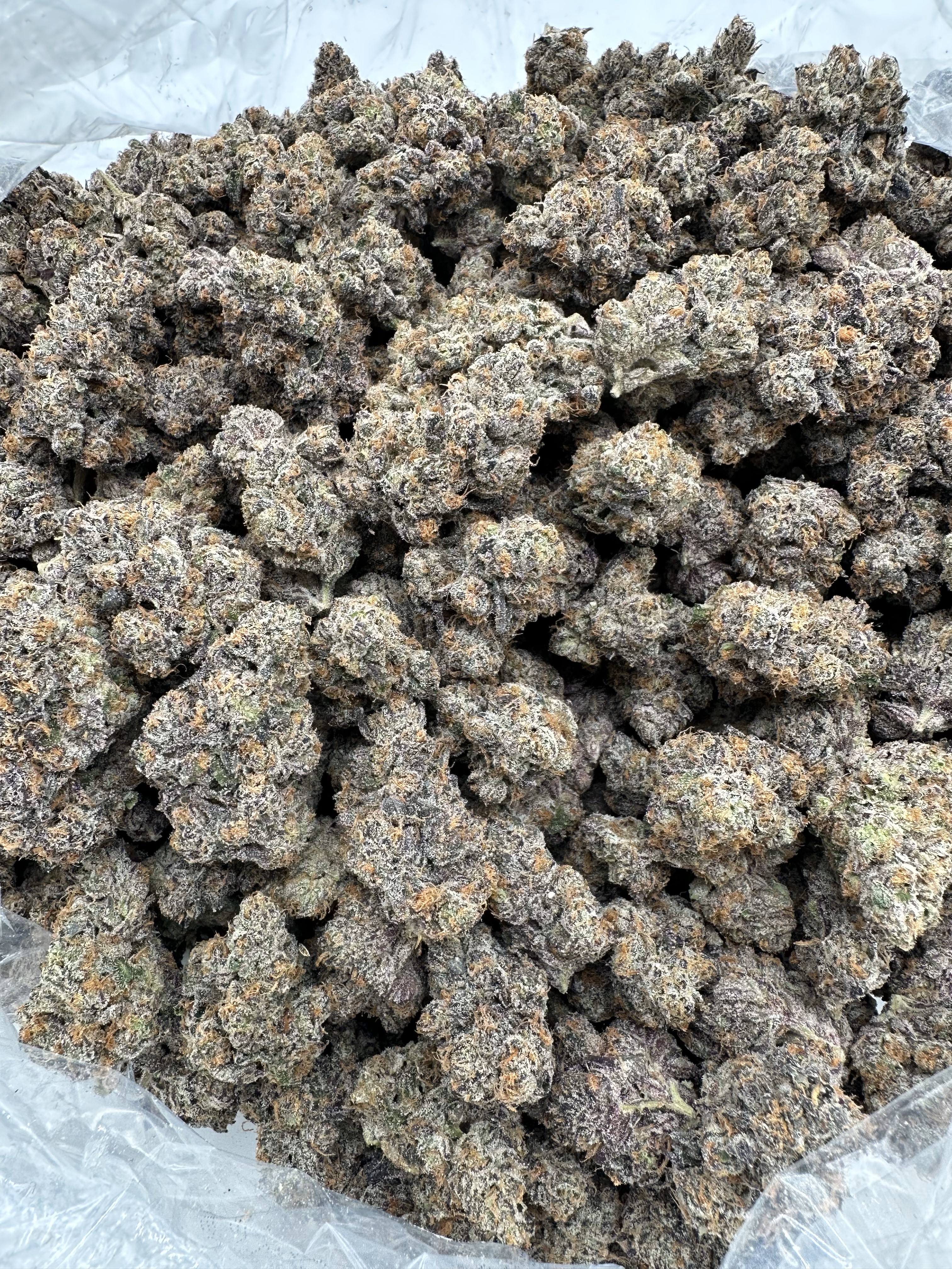 PURPLE CERTZ - EXOTIC - Image 2