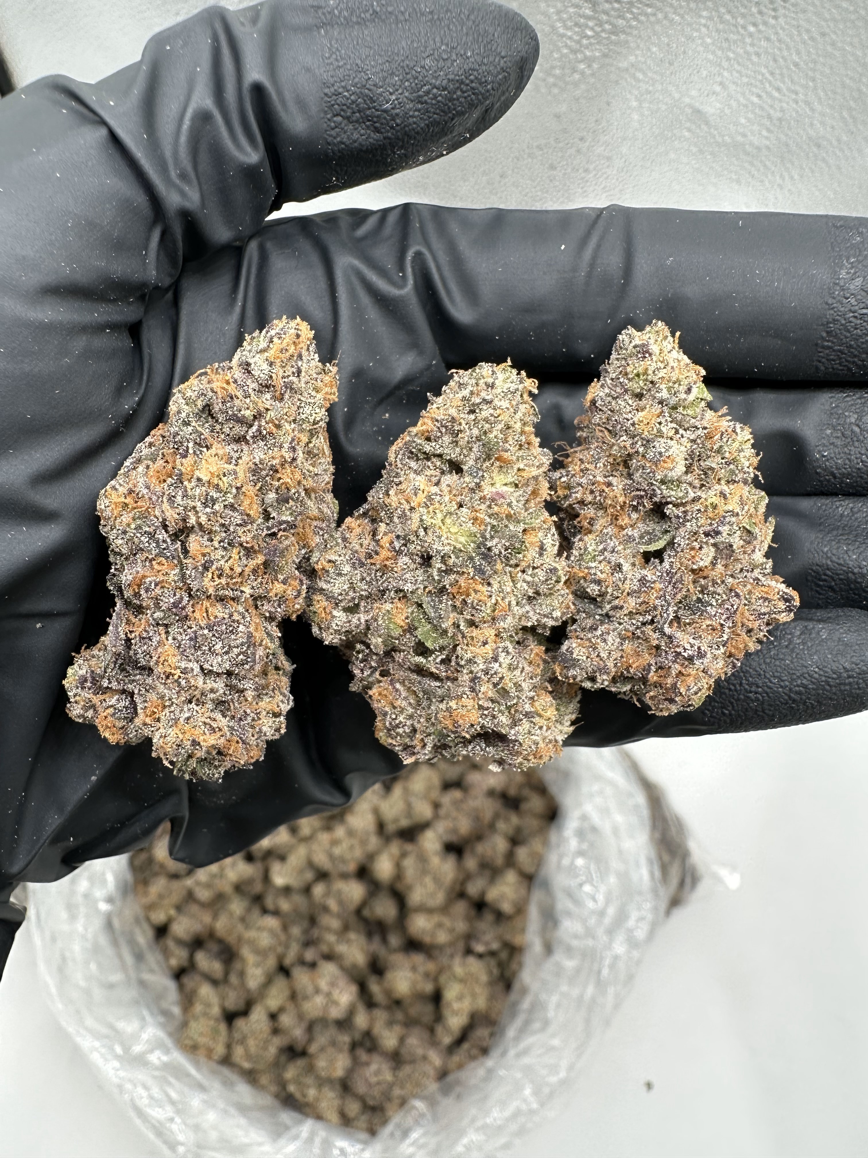 PURPLE CERTZ - EXOTIC - Image 1