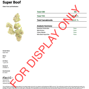 SUPER BOOF - COA
