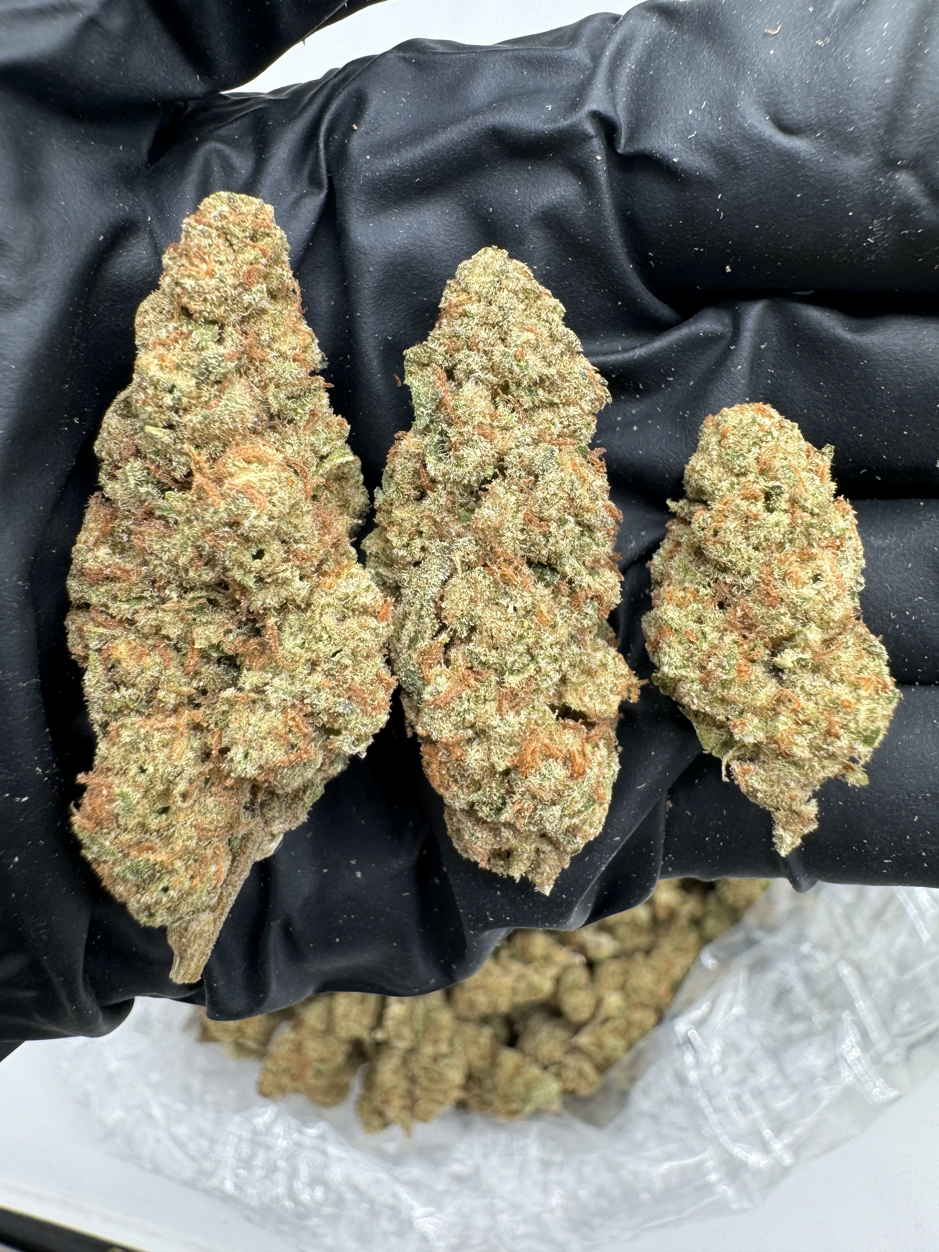 SUGAR TARTZ - LIGHT ASSIST - Image 1