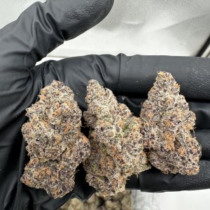 SUPER BOOF - EXOTIC - Image 1
