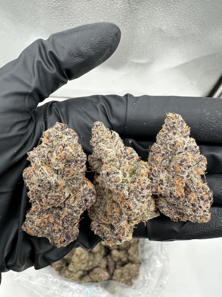 SUPER BOOF - EXOTIC