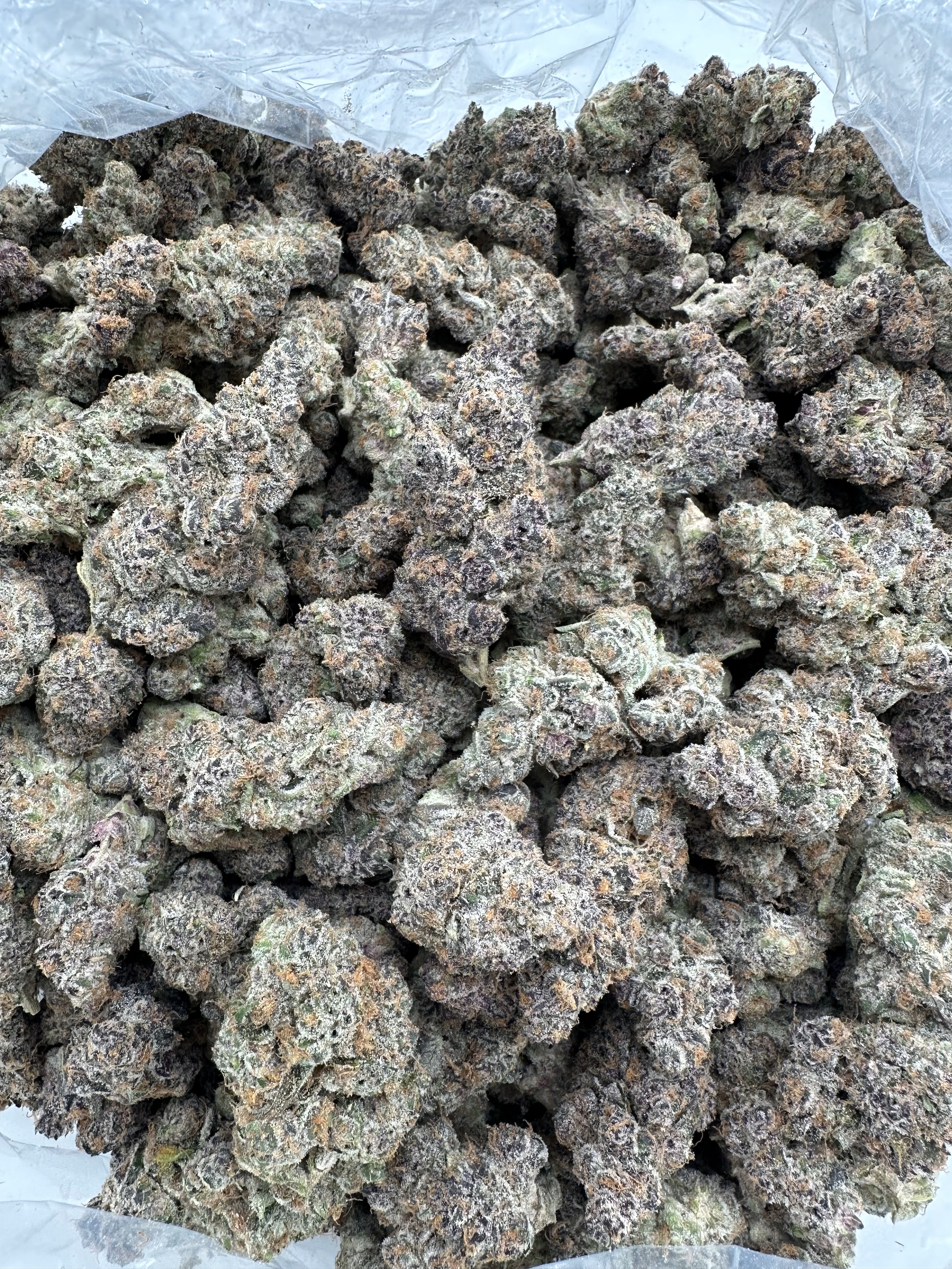 SUPER BOOF - EXOTIC - Image 2