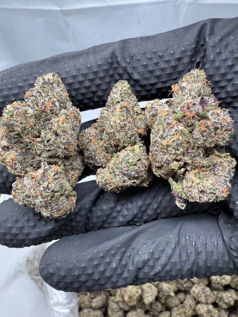 JELLY ZONUT - EXOTIC