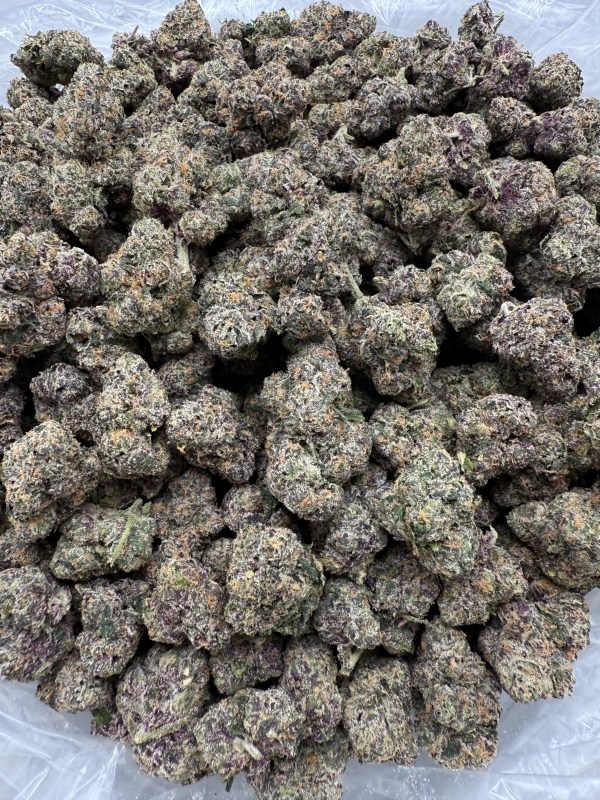 JELLY ZONUT - EXOTIC