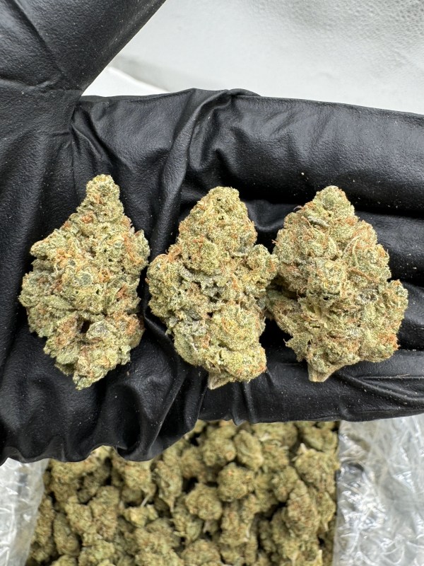 SOUR DIESEL - INDOOR