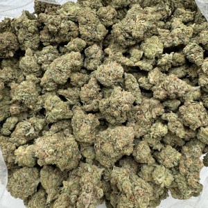 SOUR DIESEL - INDOOR - Image 2