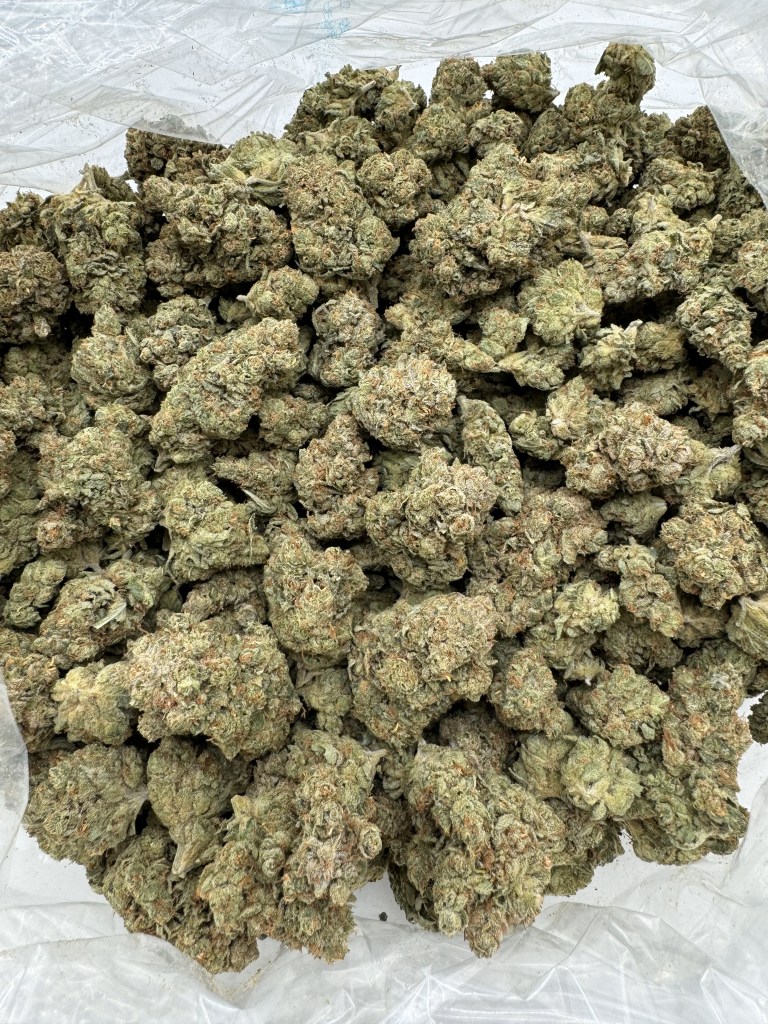 SOUR DIESEL - INDOOR