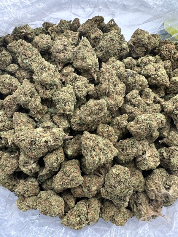 GREEN CRACK-THCA FLOWER