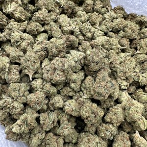 MAUI WOWIE - LIGHT ASSIST - Image 2