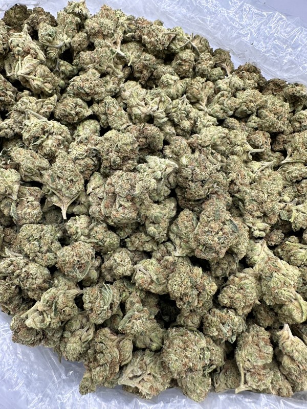 MAUI WOWIE - LIGHT ASSIST