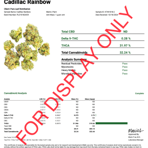 CADILLAC RAINBOW - COA