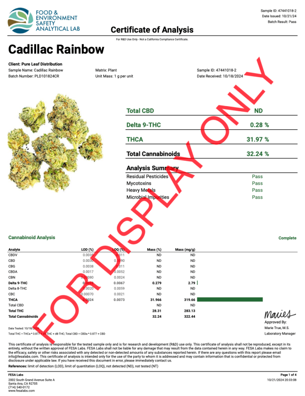 CADILLAC RAINBOW - COA