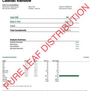 CADILLAC RAINBOW - LIGHT ASSIST - Image 3