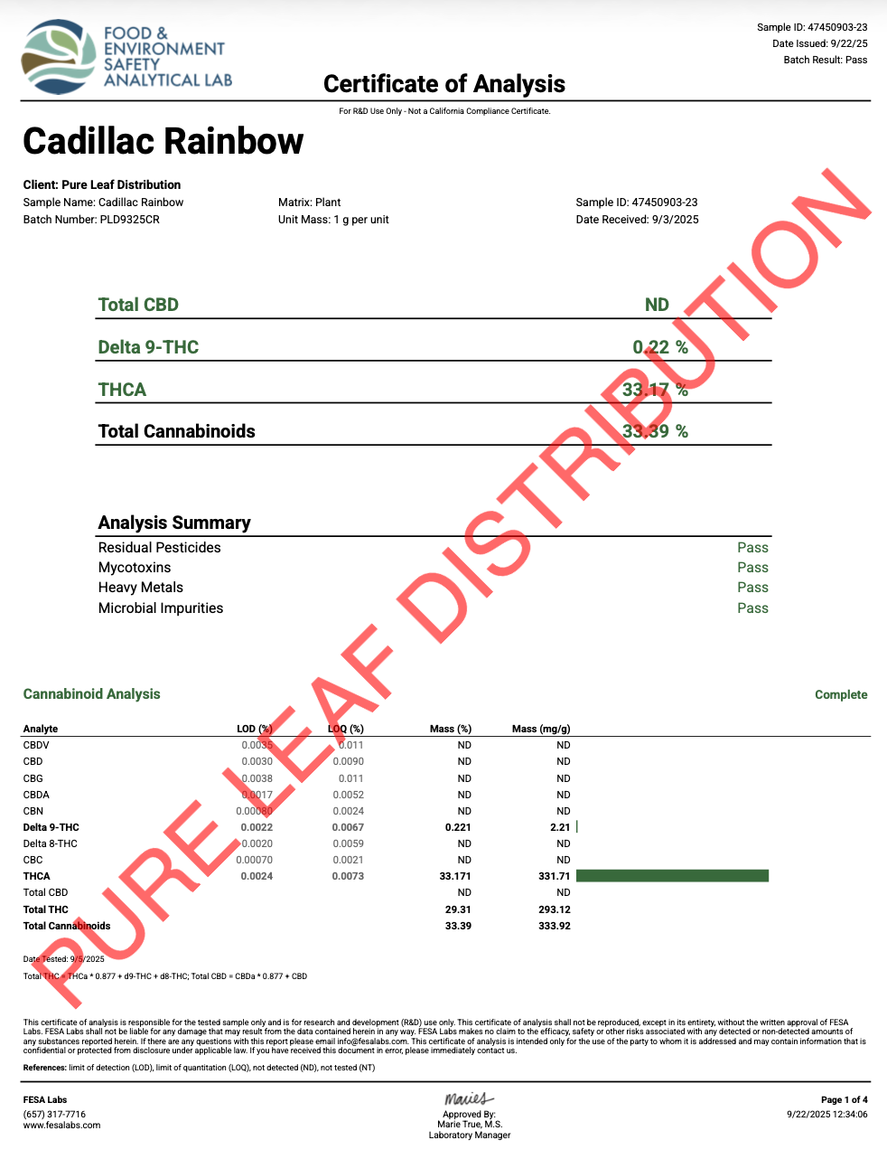 CADILLAC RAINBOW - LIGHT ASSIST - Image 3