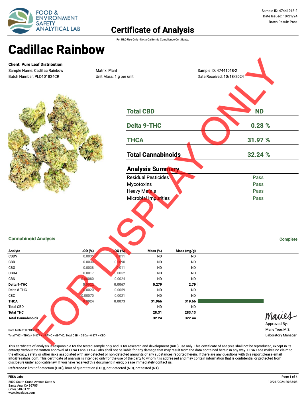 CADILLAC RAINBOW - COA