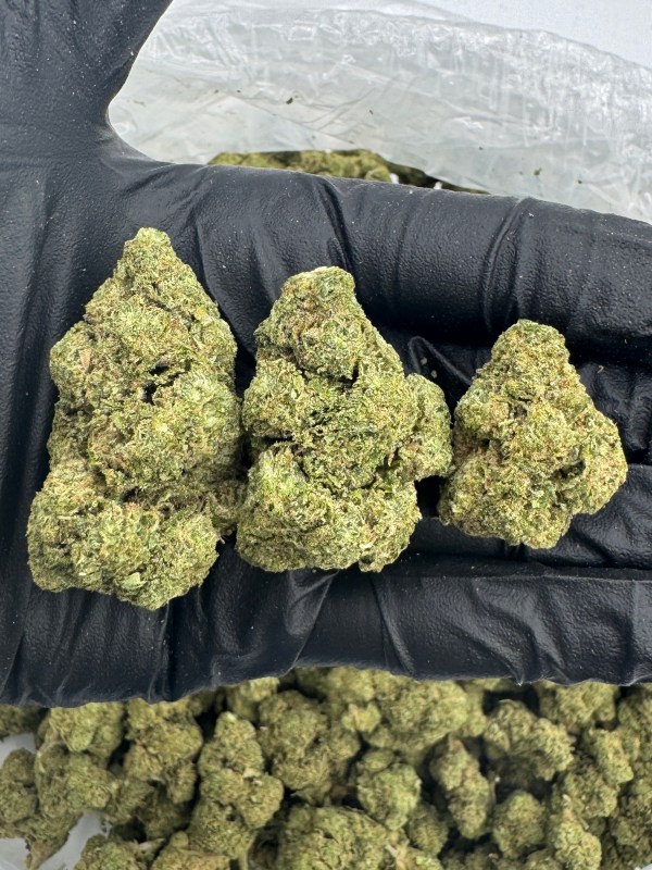 CADILLAC RAINBOW THCA FLOWER