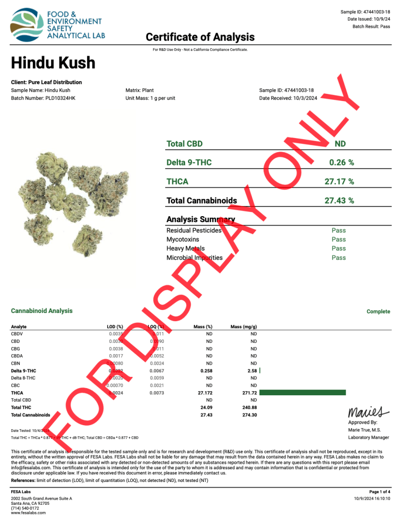 HINDU KUSH - COA