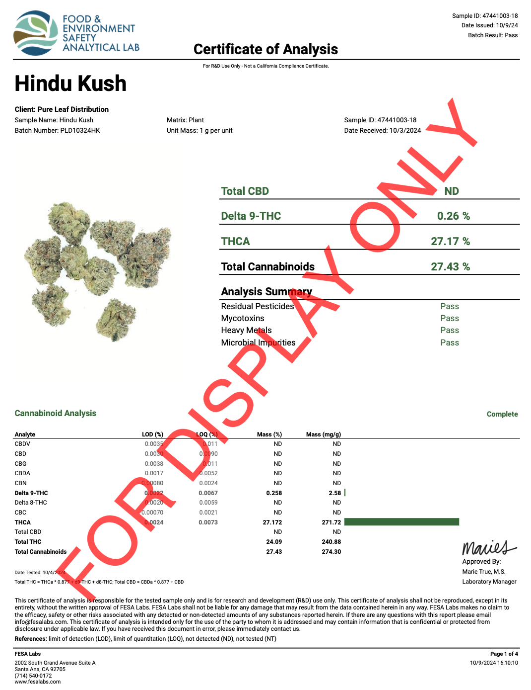 HINDU KUSH - COA