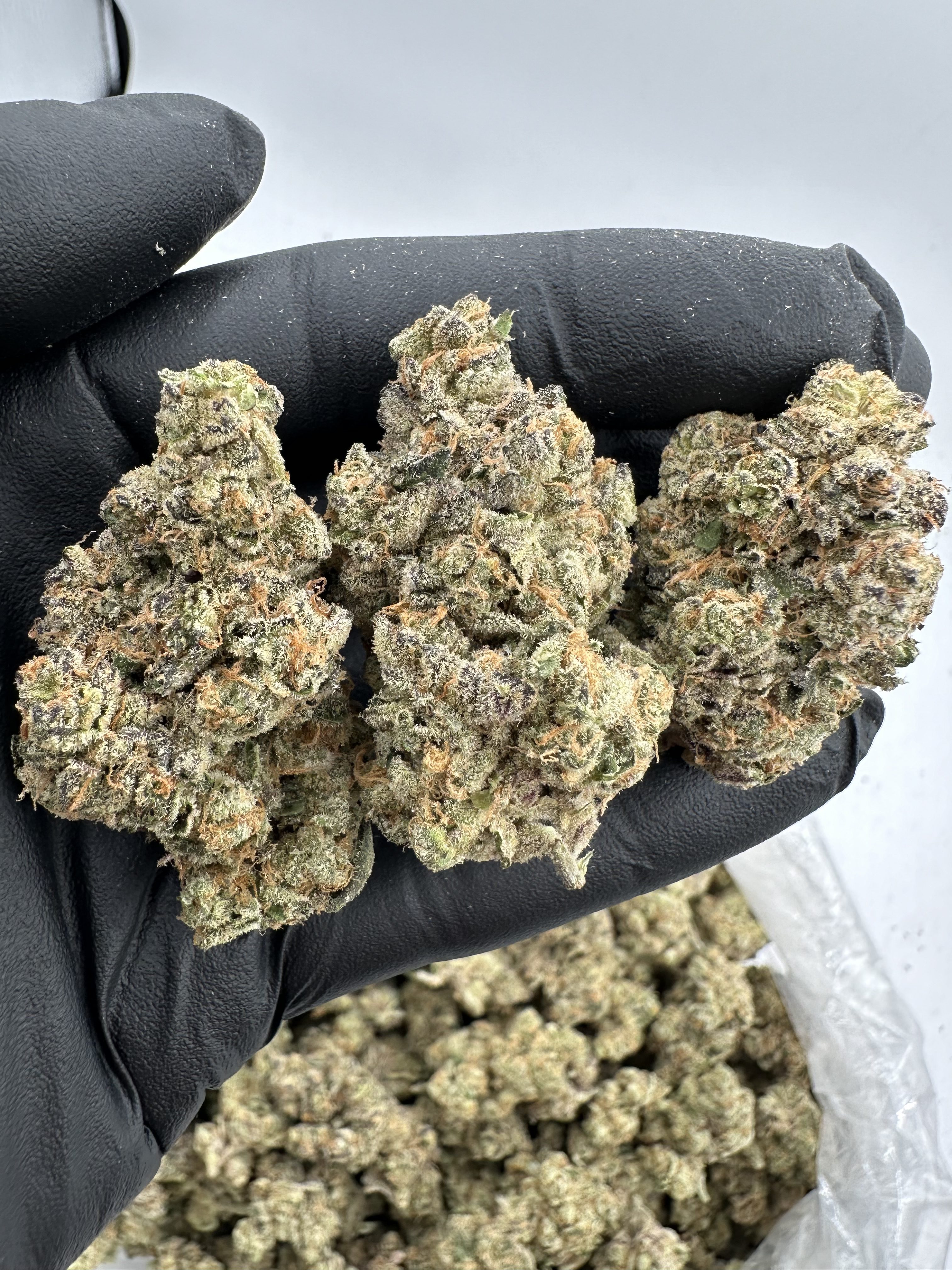 HINDU KUSH FLOWER THCA