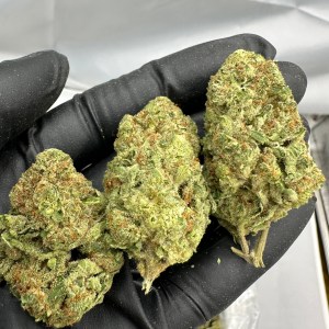 Jet Fuel - Flower THCA