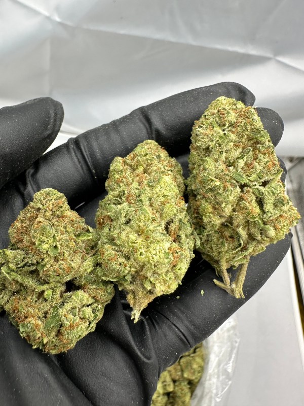 Jet Fuel - Flower THCA