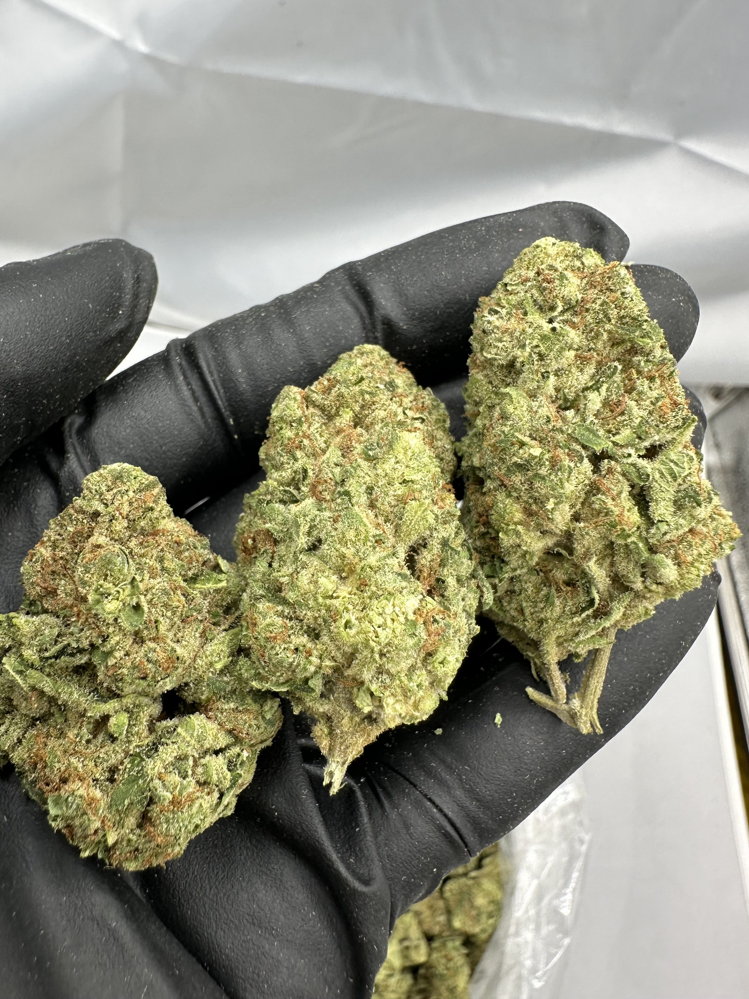 Jet Fuel - Flower THCA