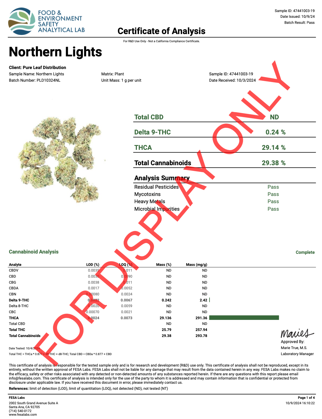 NORTHERN LIGHTS - COA