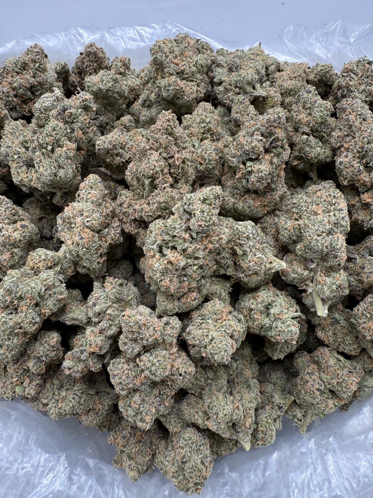 RASPBERRY GAS - INDOOR - Image 2