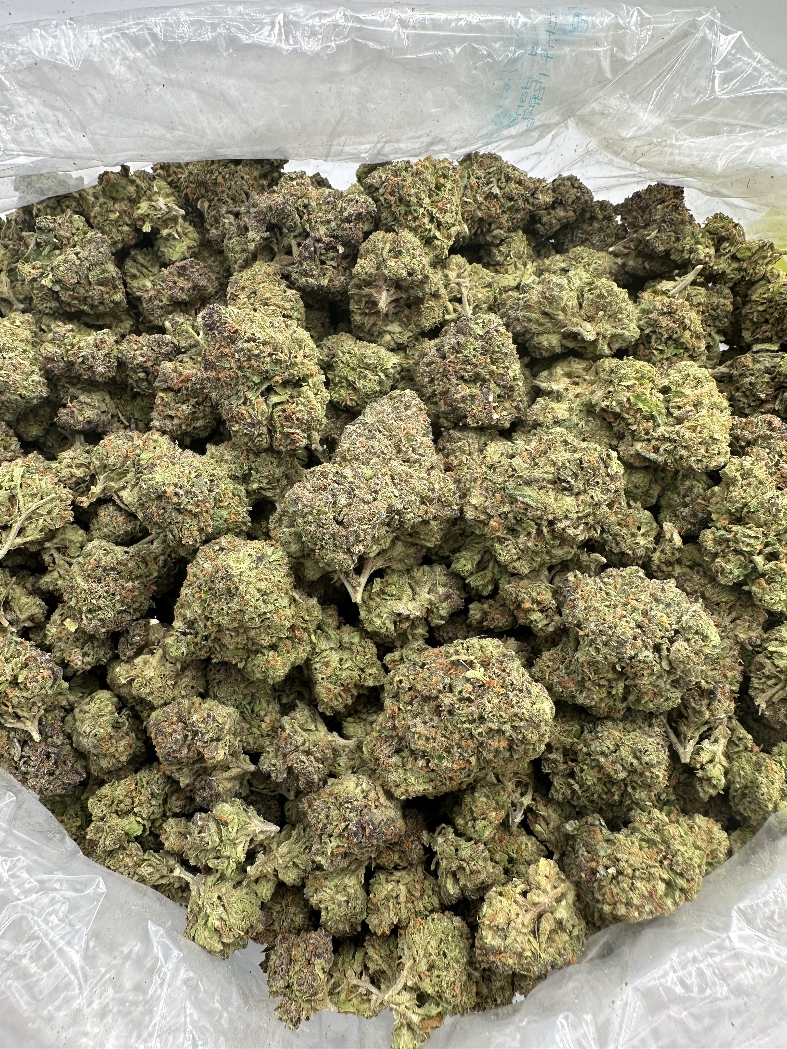 ACAPULCO GOLD-FLOWER THCA