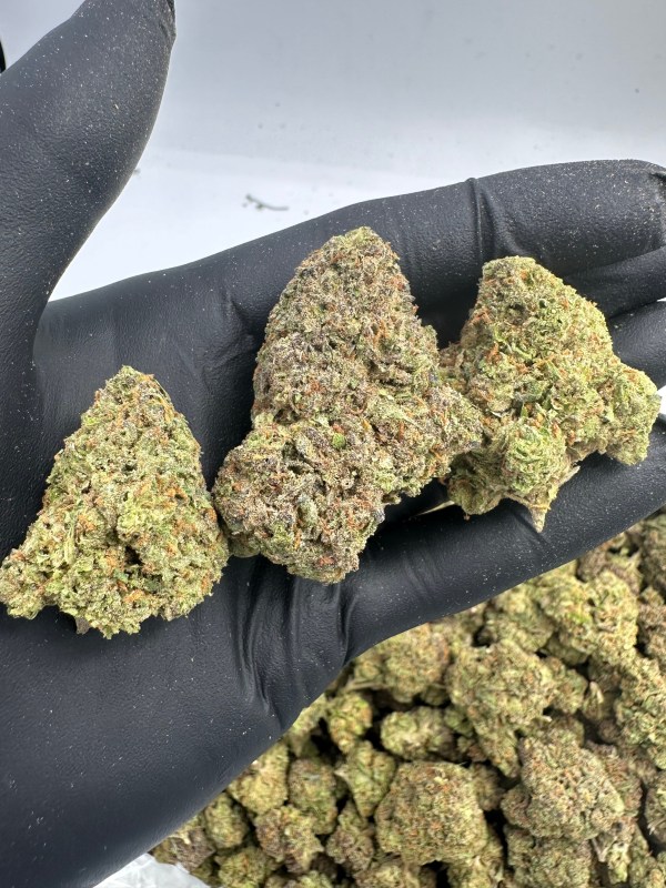 ACAPULCO GOLD-THCA FLOWER