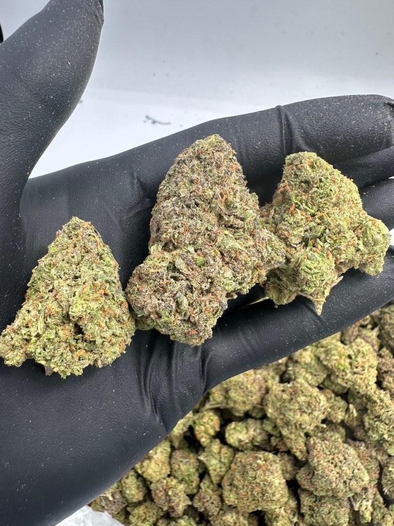 ACAPULCO GOLD-THCA FLOWER