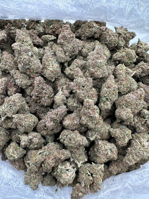 GRAPE GAS-FLOWER THCA