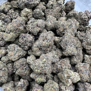 BLIZZARD BERRY FLOWER THCA