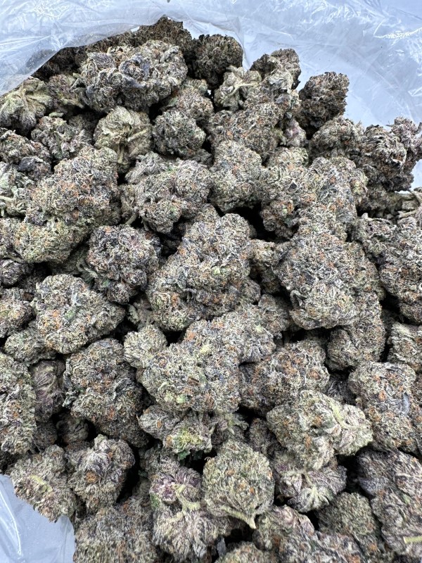 BLIZZARD BERRY FLOWER THCA