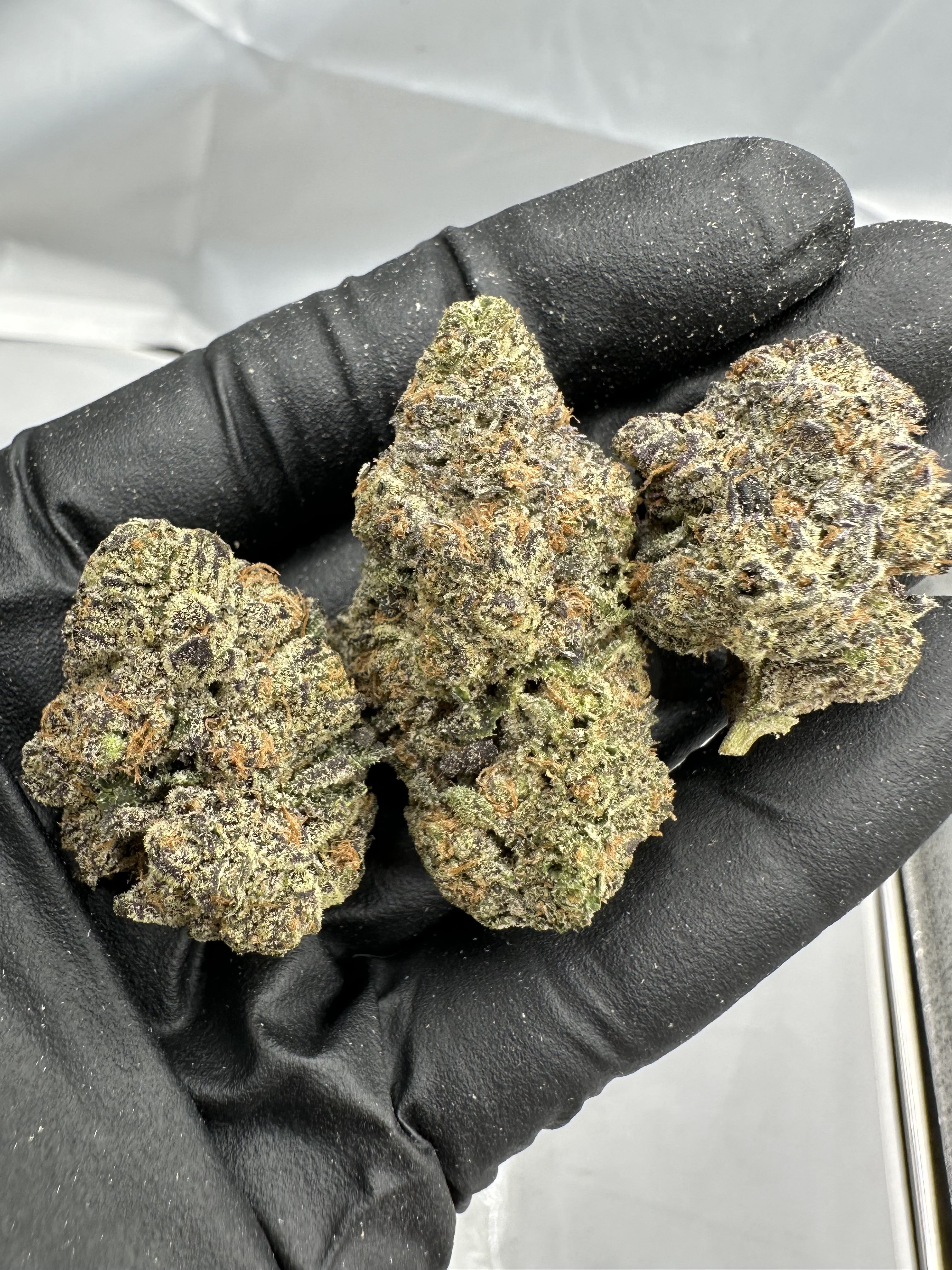BLIZZARD BERRY THCA FLOWER