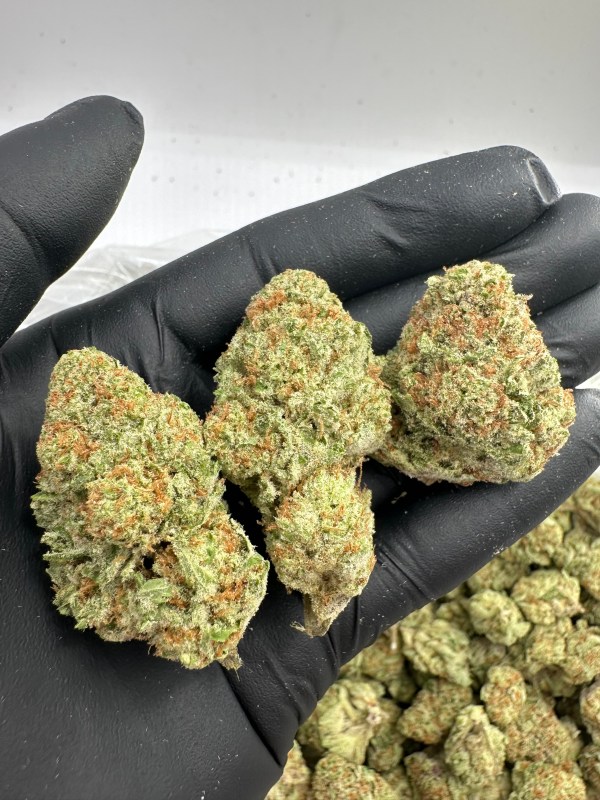 COLOMBIAN GOLD-FLOWER THCA