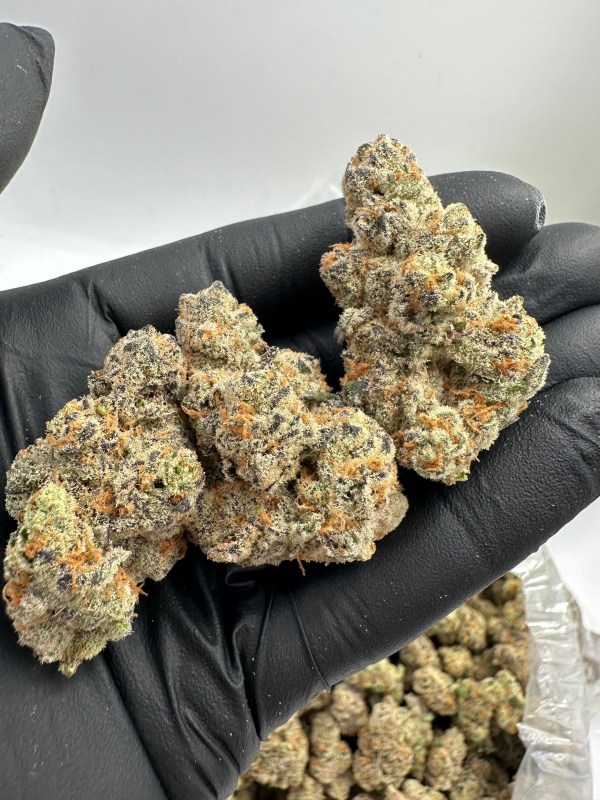 GLITTER BOMB THCA FLOWER