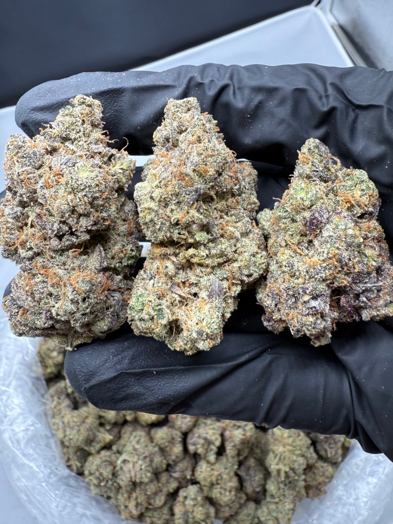 AFGHAN - INDOOR