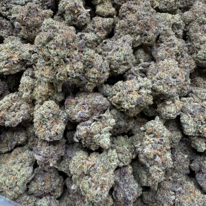 AFGHAN - INDOOR - Image 2
