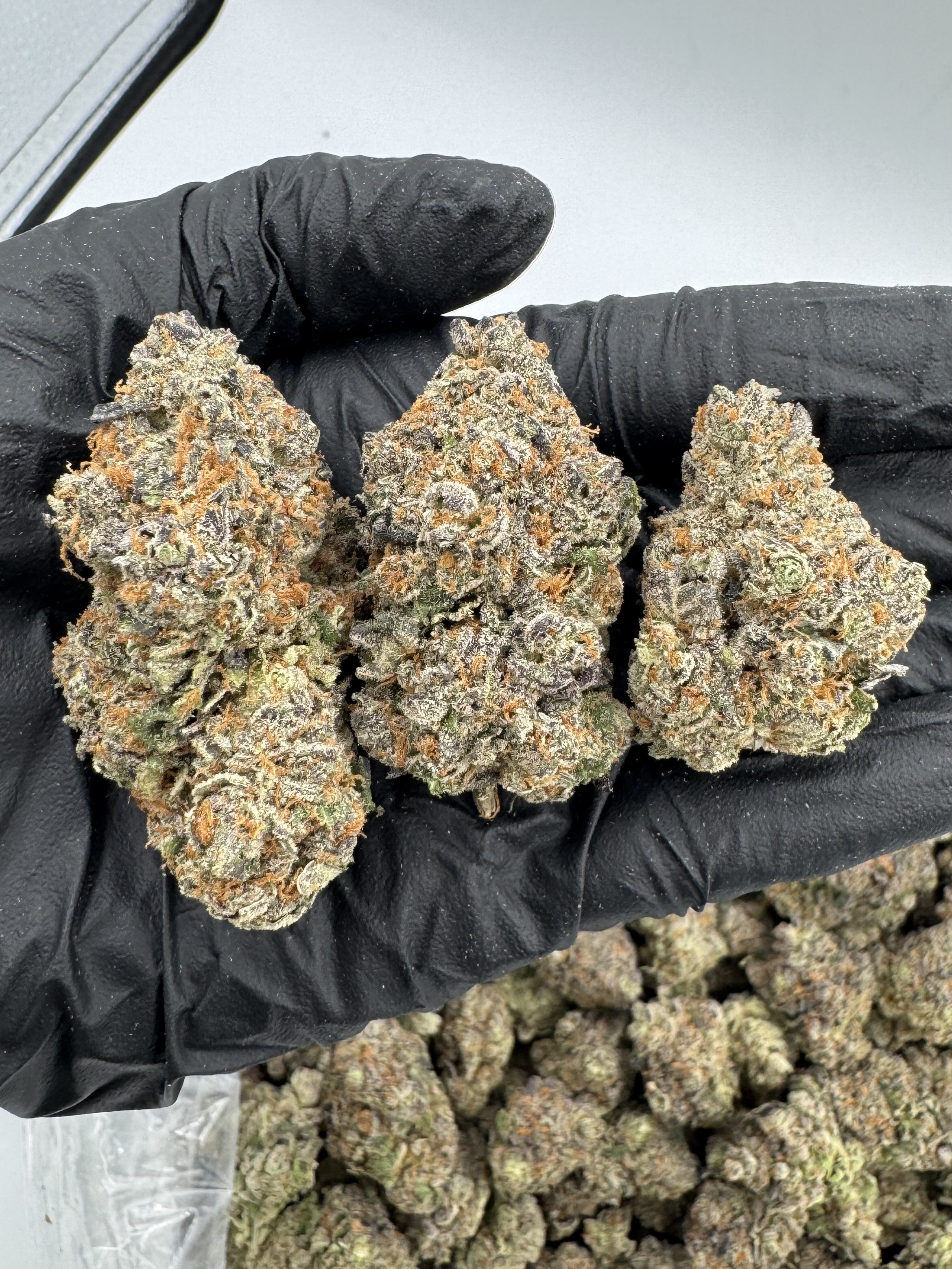 PANAMA RED FLOWER THCA